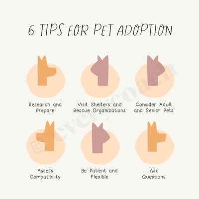 6 Tips For Pet Adoption Instagram Post Canva Template