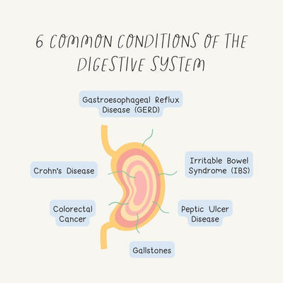 6 Common Conditions Of The Digestive System Instagram Post Canva Template