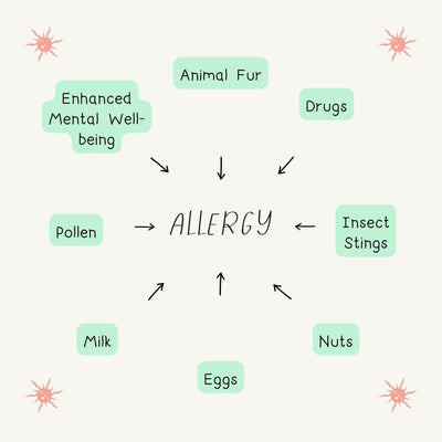 Allergy Instagram Post Canva Template