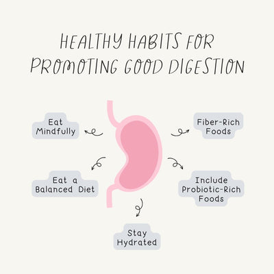 Healthy Habits For Promoting Good Digestion Instagram Post Canva Template