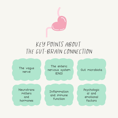 Key Points About The Gut Brain Connection Instagram Post Canva Template