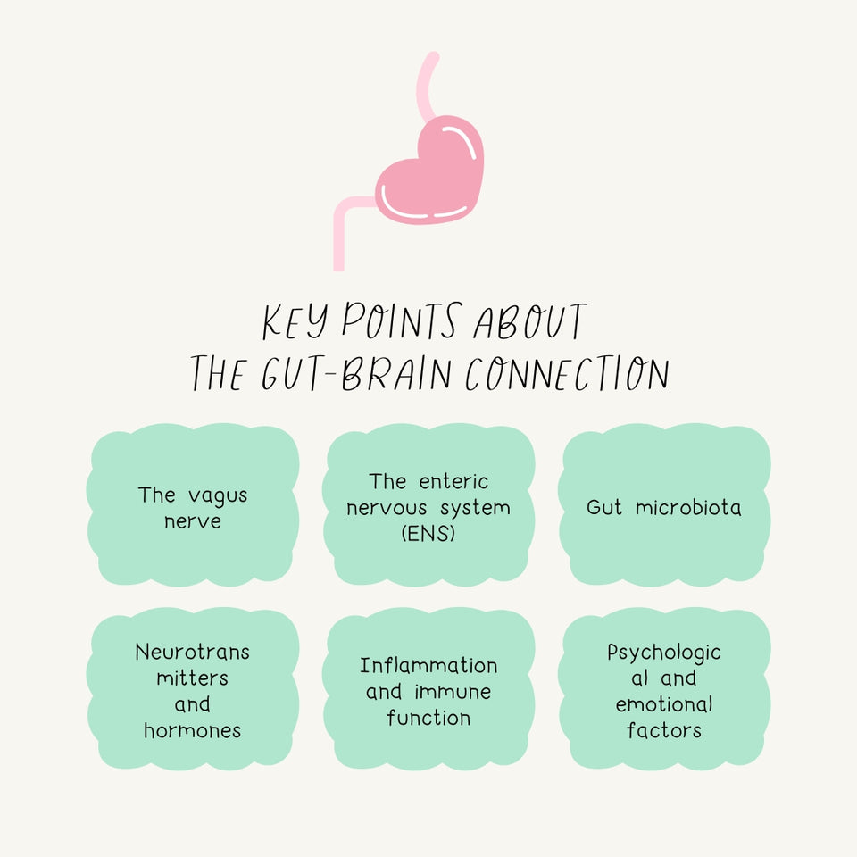 Key Points About The Gut Brain Connection Instagram Post Canva Template
