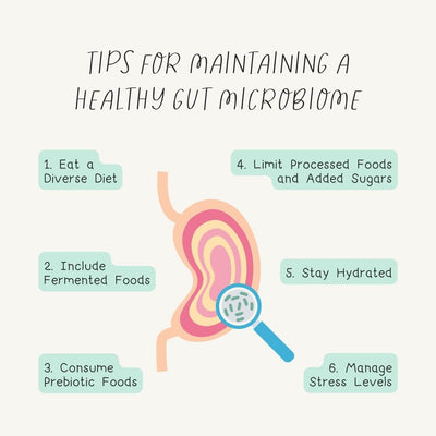 Tips For Maintaining A Healthy Gut Microbiome Instagram Post Canva Template