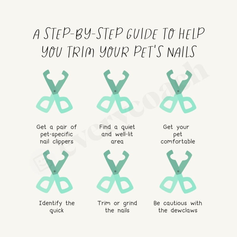 A Step By Guide To Help You Trim Your Pets Nails Instagram Post Canva Template