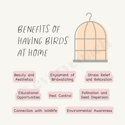 Benefits Of Having Birds At Home Instagram Post Canva Template