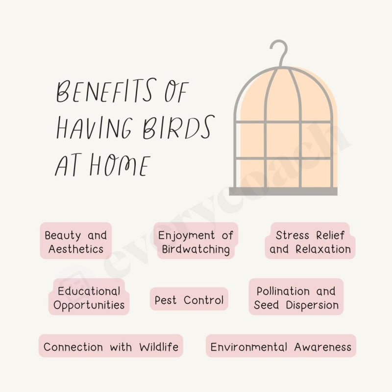 Benefits Of Having Birds At Home Instagram Post Canva Template