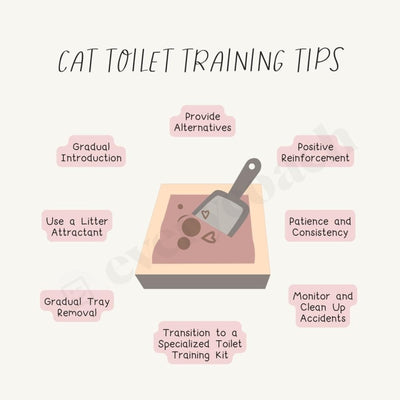 Cat Toilet Training Tips Instagram Post Canva Template