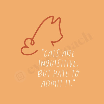 Cats Are Inquisitive But Hate To Admit It Instagram Post Canva Template