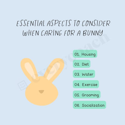 Essential Aspects To Consider When Caring For A Bunny Instagram Post Canva Template