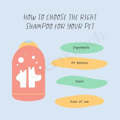 How To Choose The Right Shampoo For Your Pet Instagram Post Canva Template