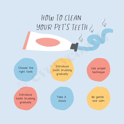 How To Clean Your Pets Teeth Instagram Post Canva Template