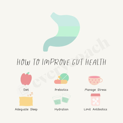 How To Improve Gut Health Instagram Post Canva Template