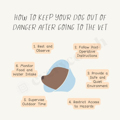 How To Keep Your Dog Out Of Danger After Going The Vet Instagram Post Canva Template
