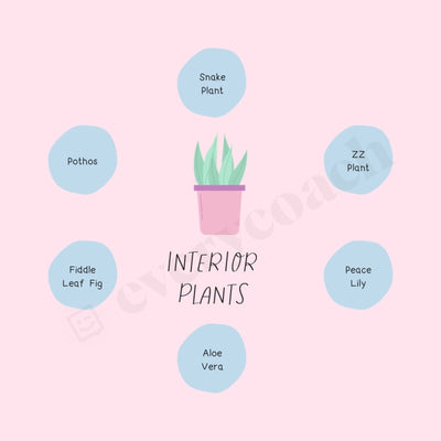 Interior Plants Instagram Post Canva Template