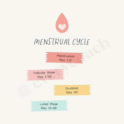 Menstrual Cycle Instagram Post Canva Template