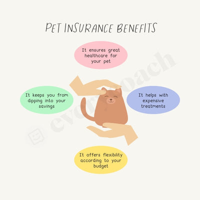 Pet Insurance Benefits Instagram Post Canva Template