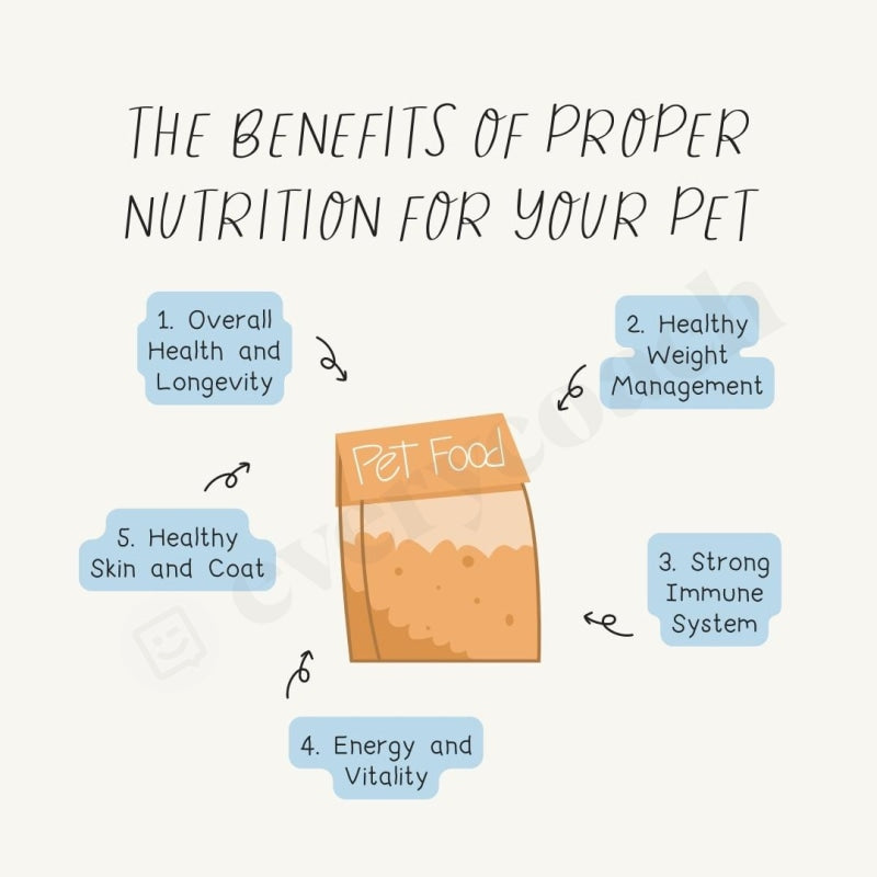 The Benefits Of Proper Nutrition For Your Pet Instagram Post Canva Template