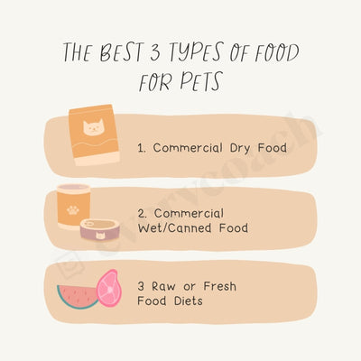 The Best 3 Types Of Food For Pets Instagram Post Canva Template