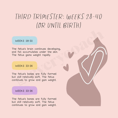 Third Trimester: Weeks 28 40 Or Until Birth Instagram Post Canva Template