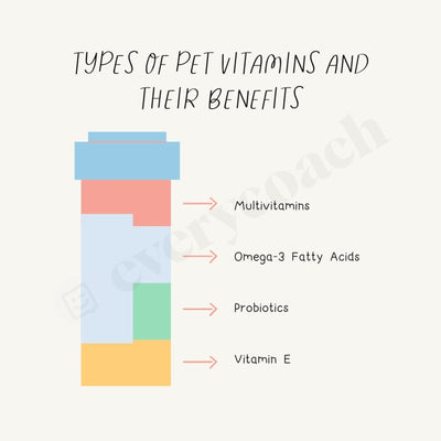 Types Of Pet Vitamins And Their Benefits Instagram Post Canva Template