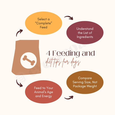 4 Feeding And Diet Tips For Dogs Instagram Post Canva Template
