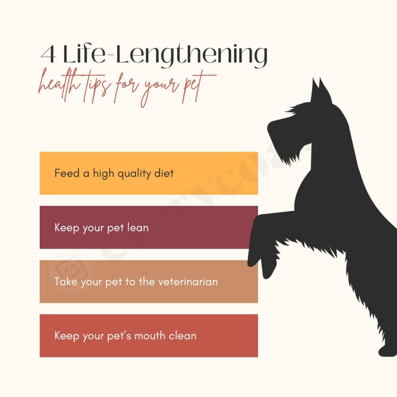 4 Life-Lengthening Health Tips For Your Pet Instagram Post Canva Template