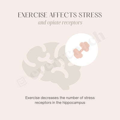 Exercise Affects Stress And Opiate Receptors Instagram Post Canva Template