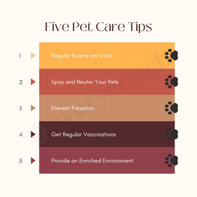 Five Pet Care Tips Instagram Post Canva Template