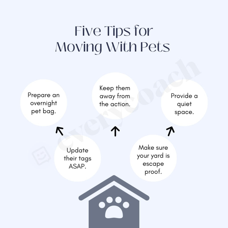 Five Tips For Moving With Pets Instagram Post Canva Template
