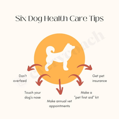 Six Dog Health Care Tips Instagram Post Canva Template
