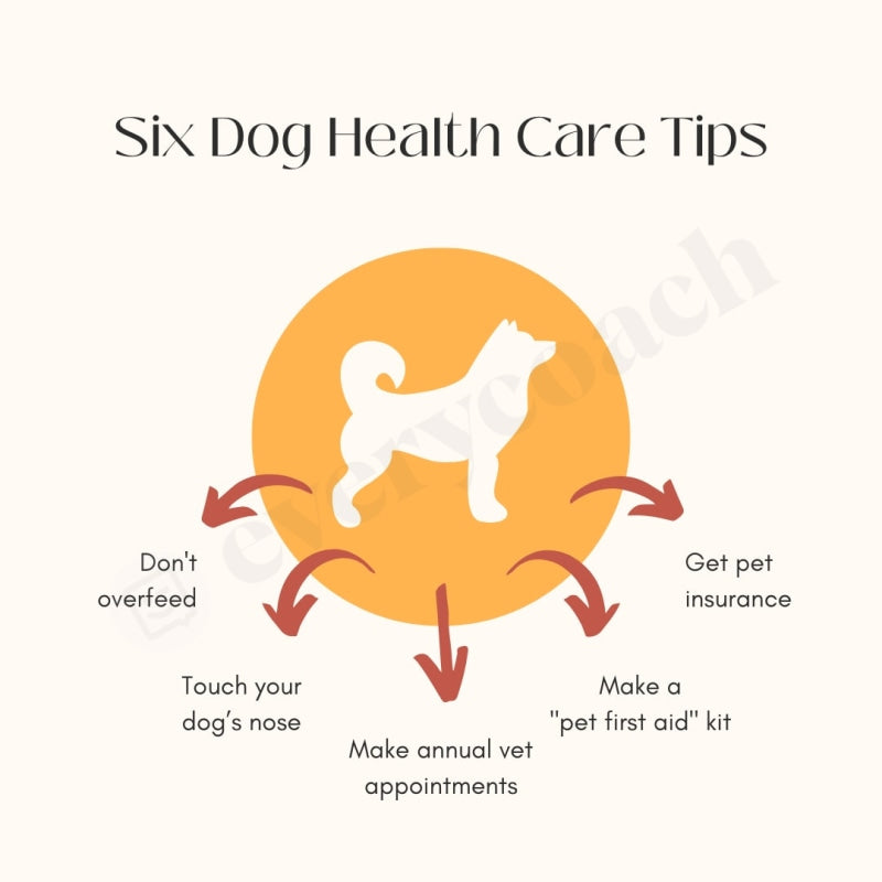 Six Dog Health Care Tips Instagram Post Canva Template