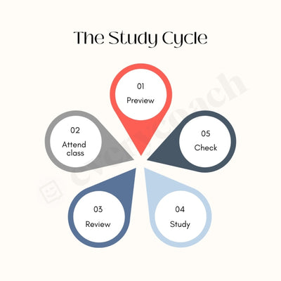 The Study Cycle Instagram Post Canva Template