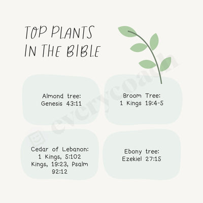 Top Plants In The Bible Instagram Post Canva Template