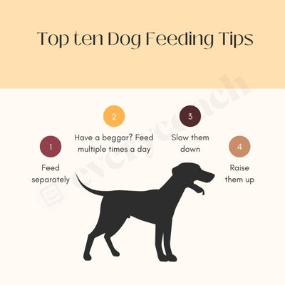 Top Ten Dog Feeding Tips Instagram Post Canva Template