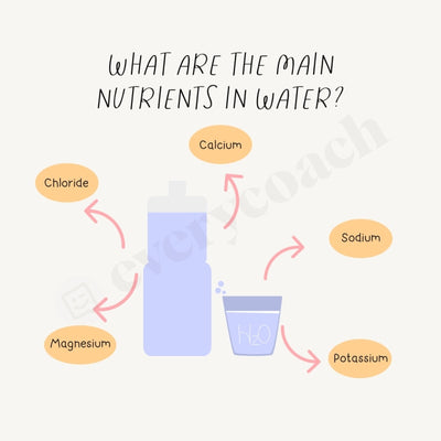 What Are The Main Nutrients In Water Instagram Post Canva Template