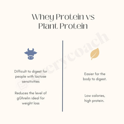 Whey Protein Vs Plant Instagram Post Canva Template